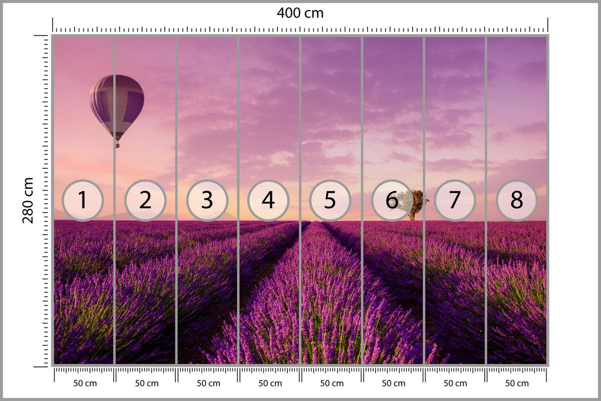 FOTOTAPETE für Wohnzimmer Lavendelfeld Heißluftballon Provence 400x280 - Violett/Lila, Papier (400/280cm) - Muralo