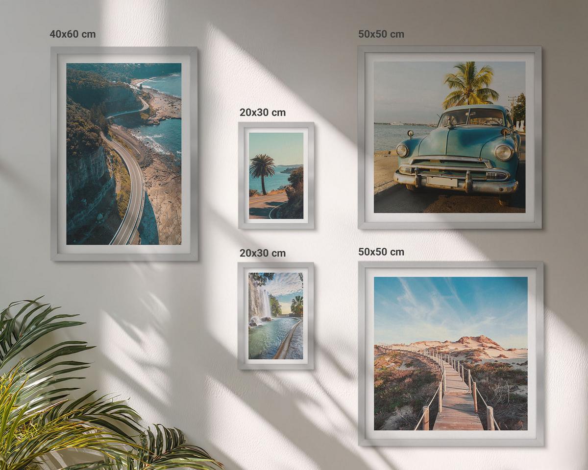 BILDER SET 5er Set - 50x50 cm & 20x30 cm & 40x60 cm Silberner Rahmen - Fuji-Torii-Bambuswald, Japan - Silberfarben, Kunststoff (40/60cm) - TULUP