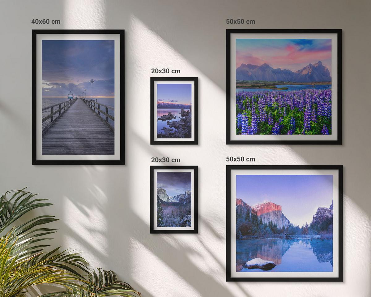BILDER SET 5er Set - 50x50 cm & 20x30 cm & 40x60 cm Schwarzer Rahmen - Berglandschaften, Wasser, Blumenfeld - Schwarz, Kunststoff (40/60cm) - TULUP