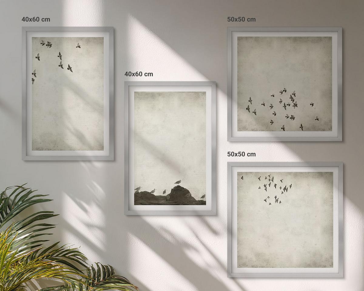 BILDER SET 4er Set - 50x50 cm & 40x60 cm Silberner Rahmen - Minimalistische Vogelmalerei - Silberfarben, Kunststoff (50/50cm) - TULUP