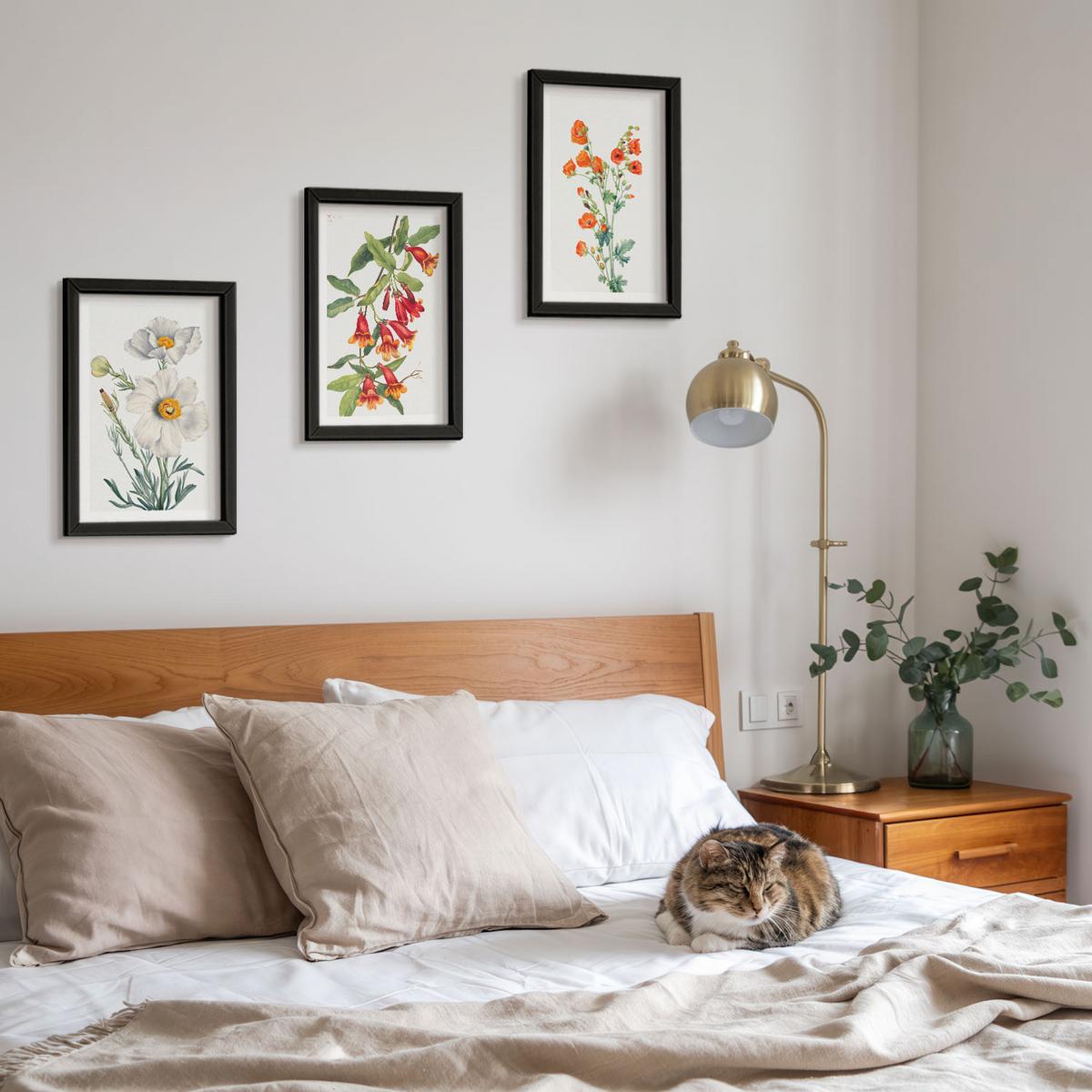 BILDER SET 3er Set - 20x30 cm Schwarzer Rahmen - Retro-Blumenarrangements - Schwarz, Kunststoff (20/30cm) - TULUP