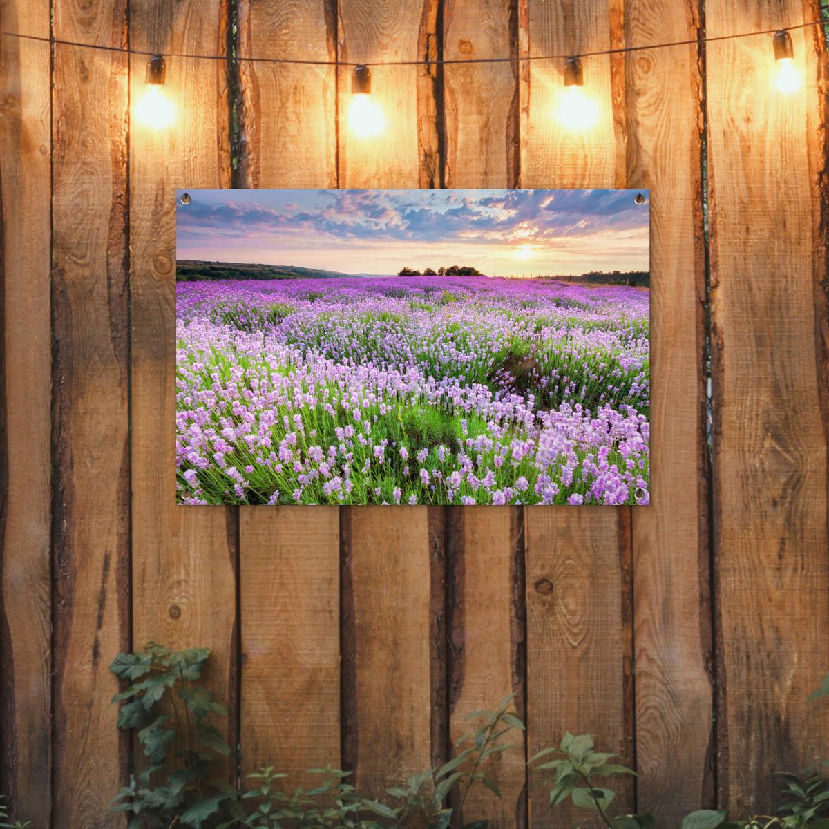 GARTENPOSTER Blumen - Lavendel - Lila - Himmel - Sonnenuntergang - Wiese - Natur Gartendeko 90x60 cm - Flieder, Kunststoff (90/60/0.2cm) - OnlyWow