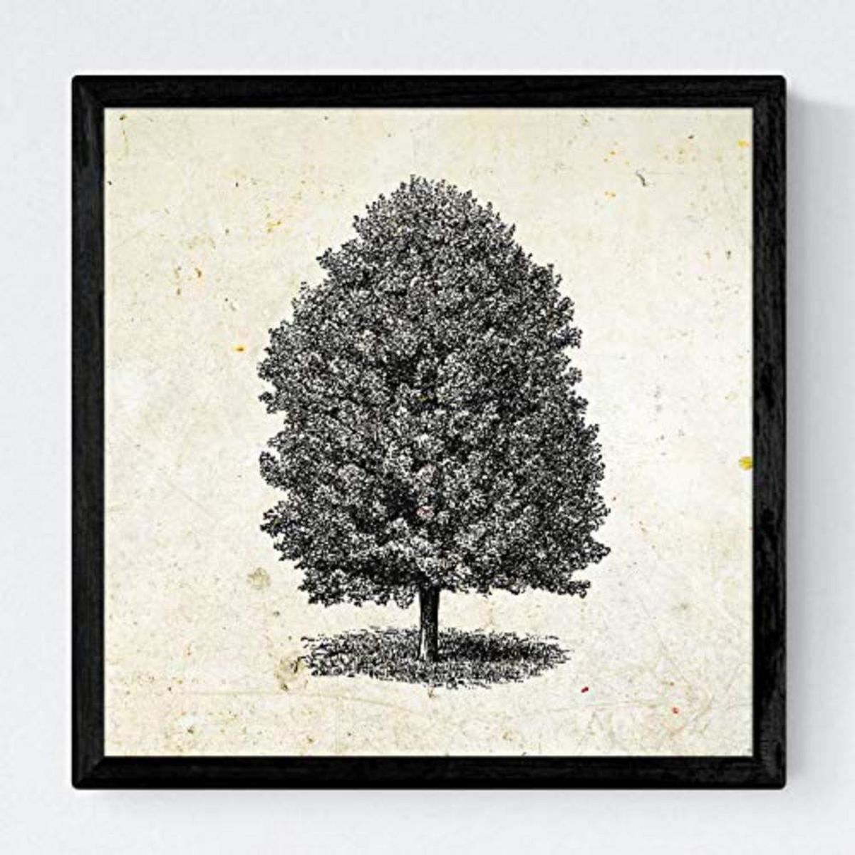 POSTER Set mit 4 Blättern der Bäume Zierbäume Jahrgang Hintergrund 20x20cm Schwarzer Rahmen - Schwarz, Papier (20/3cm) - Nacnic