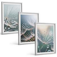 BILDER SET 3er Set - 40x60 cm Silberner Rahmen - Wassertropfen auf Löwenzahnsprossen - Silberfarben, Kunststoff (40/60cm) - TULUP