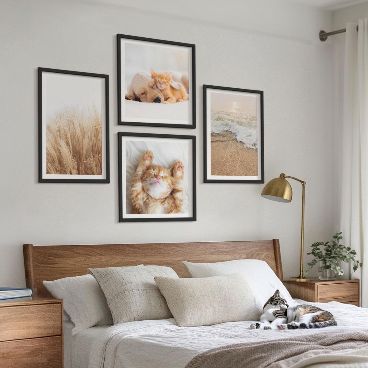 BILDER SET 4er Set - 50x50 cm & 40x60 cm Schwarzer Rahmen - Niedliche Tiere, Katzen, Hunde, Strand - Schwarz, Kunststoff (50/50cm) - TULUP