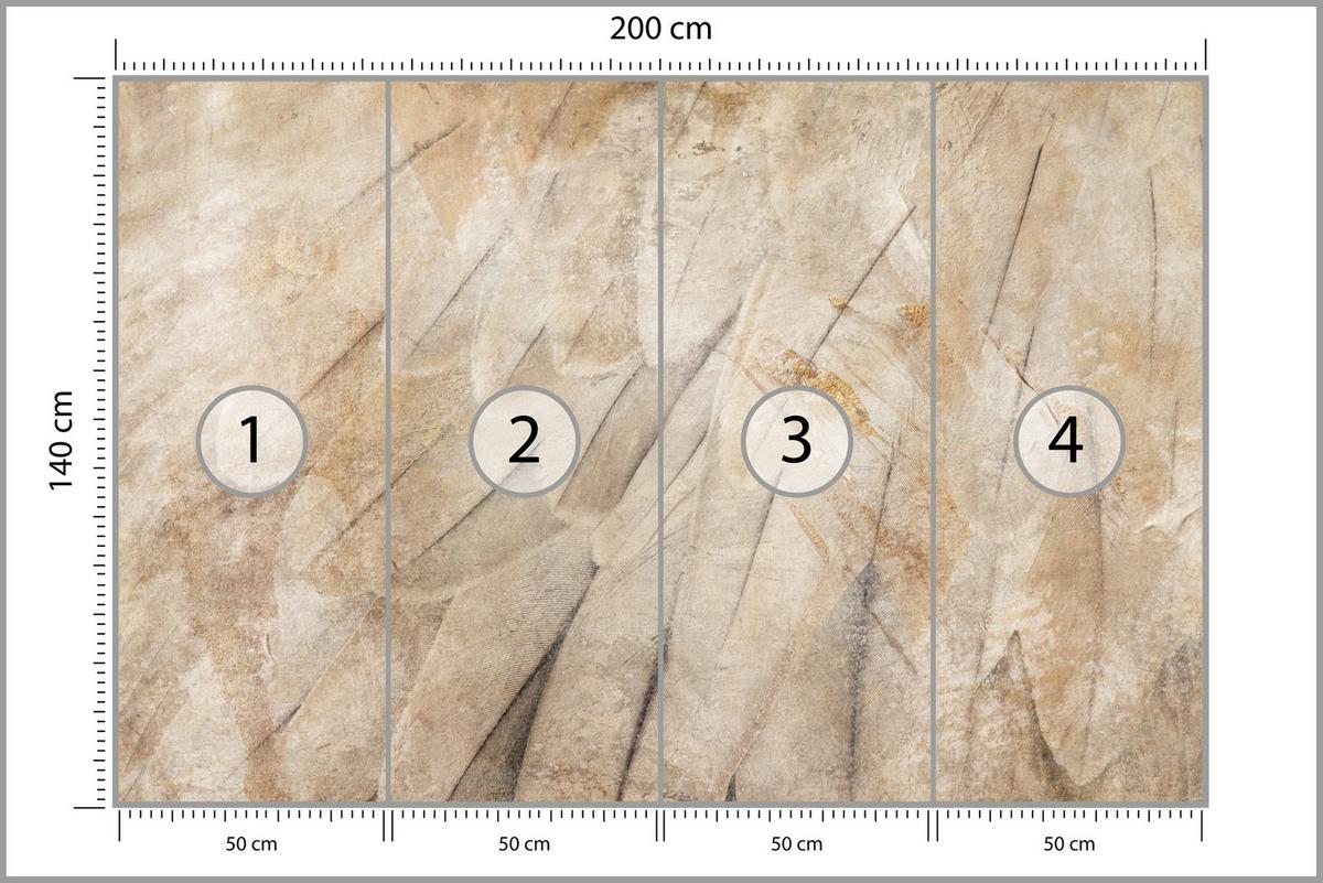 FOTOTAPETE Vogelflügel Beton Retro Stil 200x140 - Beige/Braun, Papier (200/140cm) - Muralo