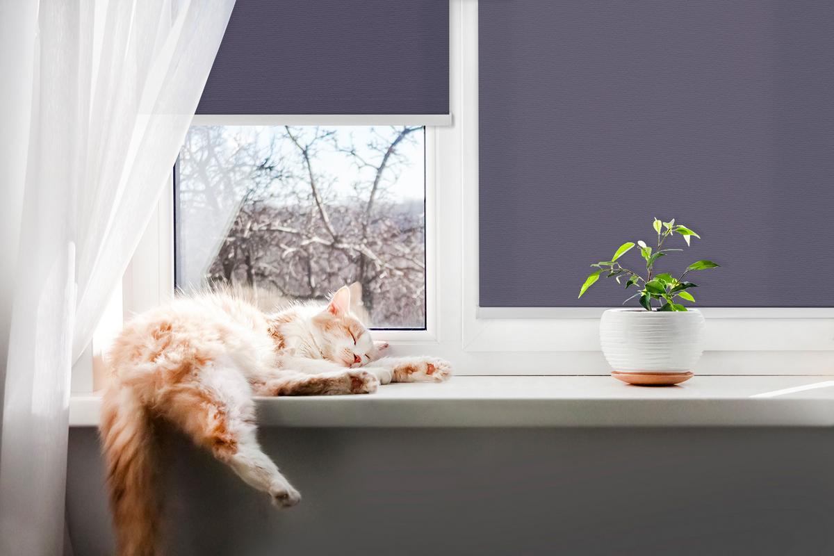 INNENROLLO - Fensterrollo - Rollo - 60x40 cm - Dunkelviolett - Violett, Kunststoff (60/140/0.5cm) - TULUP