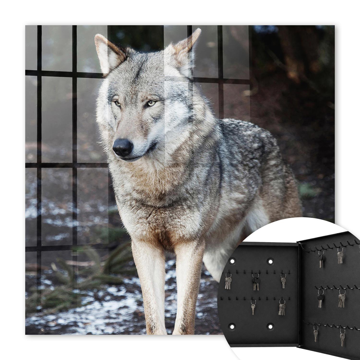 SCHLÜSSELBOX Schwarz 30x30 cm- Türöffnung nach rechts - Wolf im Wald - Grau, Metall (30/30/5cm) - TULUP