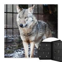 SCHLÜSSELBOX Schwarz 30x30 cm- Türöffnung nach rechts - Wolf im Wald - Grau, Metall (30/30/5cm) - TULUP
