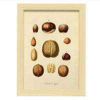POSTER Nüsse A4 Rahmen Aus Hellem Holz - Beige, Papier (29.7/5cm) - Nacnic