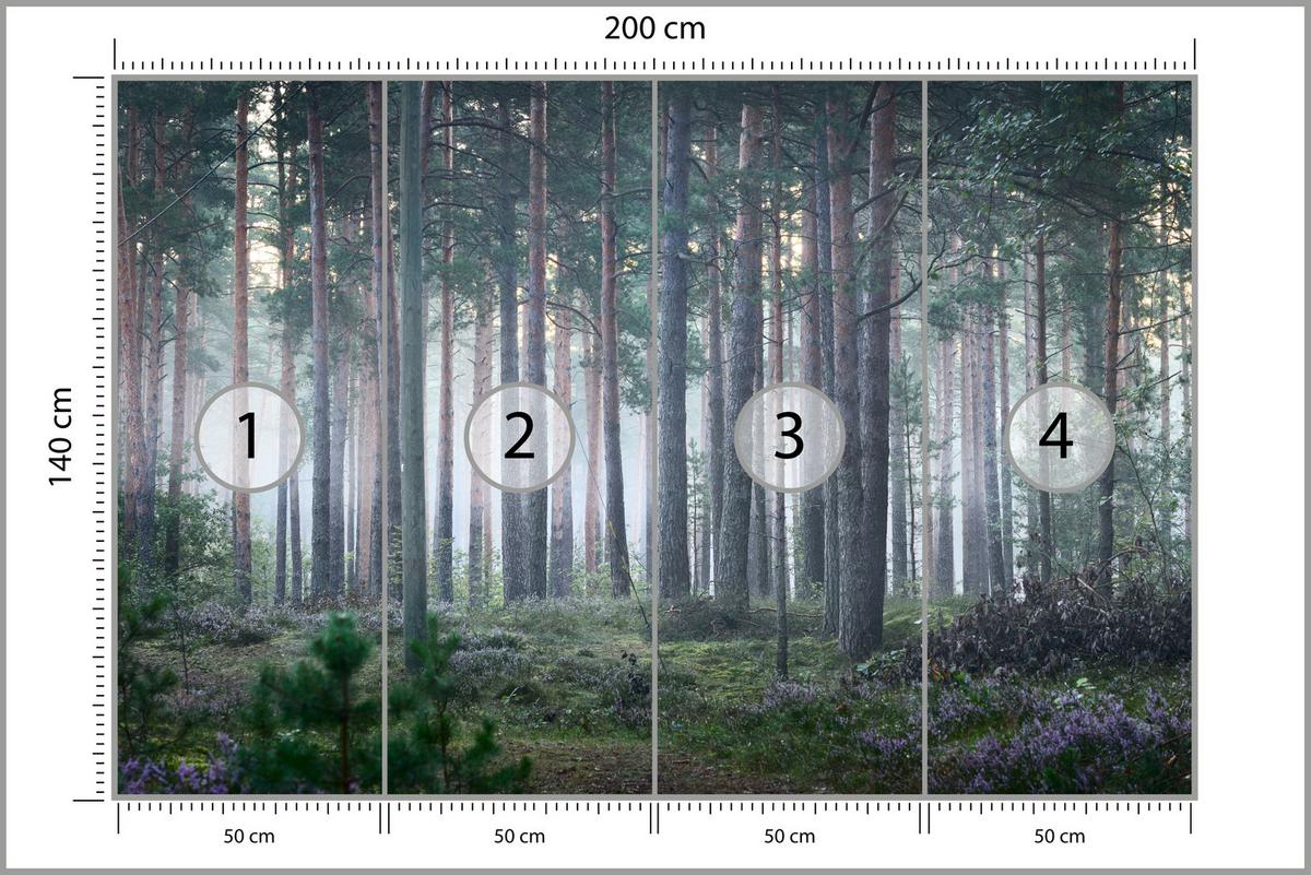 FOTOTAPETE für Wohnzimmer Nebelwald mit Bäumen Moos Grün 200x140 - Grau/Grün, Papier (200/140cm) - Muralo
