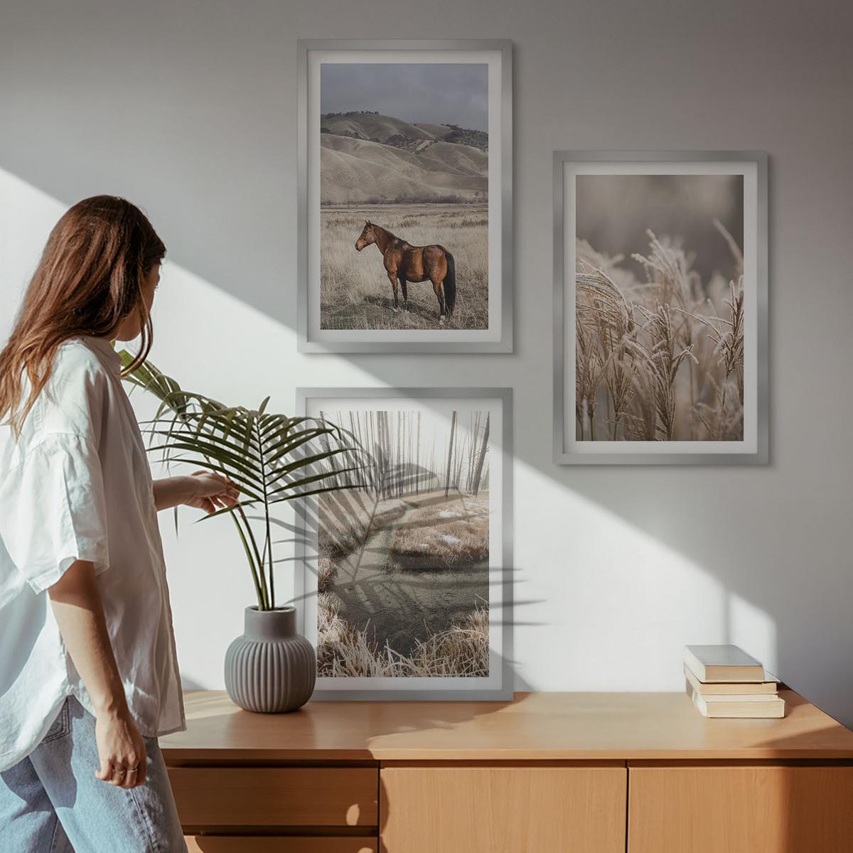 BILDER SET 3er Set - 40x60 cm Silberner Rahmen - Pferde, Landschaft, Gras, Bach - Silberfarben, Kunststoff (40/60cm) - TULUP
