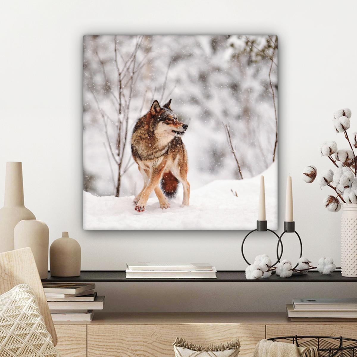 LEINWANDBILD Wolf - Winter - Schnee - Natur - Tiere Wandbild Wohnzimmer 50x50 cm - Haselnussfarben, Textil (50/50cm) - MuchoWow