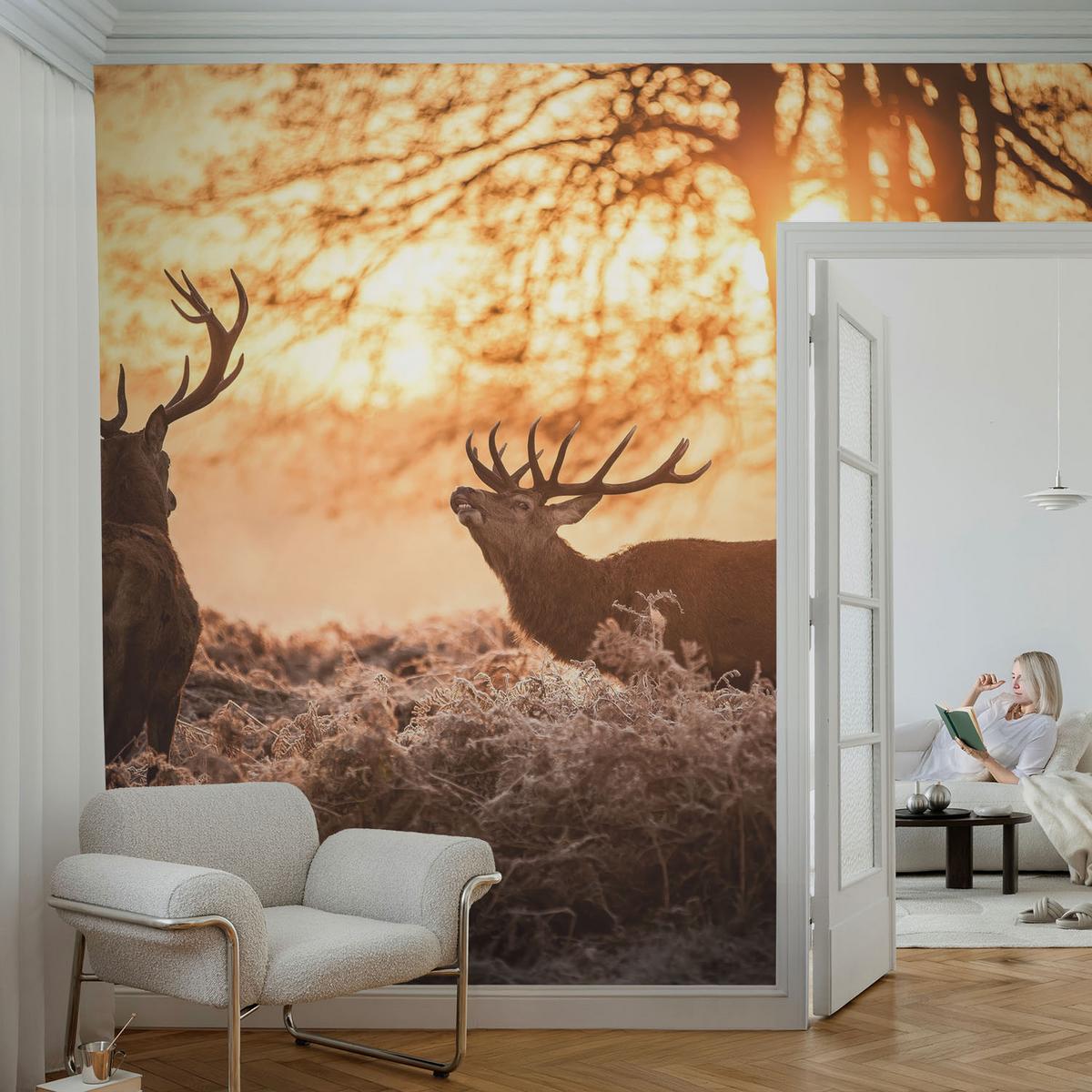 FOTOTAPETE 208x146 cm - Rehe am Morgen - Schwarz, Textil (208/146cm) - Wallfluent