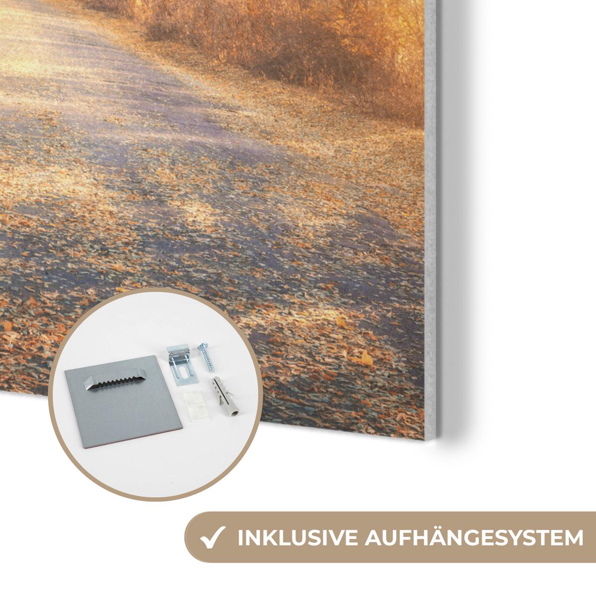 AKUSTIKBILD Wald - Herbst - Bäume - Waldweg - Natur Kunstdruck Schlafzimmer 50x70 cm - Bernsteinfarben, Kunststoff (50/70/0.9cm) - MuchoWow