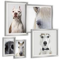 BILDER SET 5er Set - 50x50 cm & 20x30 cm & 40x60 cm Silberner Rahmen - Elegante Porträts von Hunden und Pferden - Silberfarben, Kunststoff (40/60cm) - TULUP