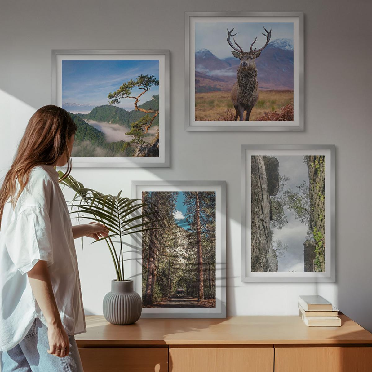 BILDER SET 4er Set - 50x50 cm & 40x60 cm Silberner Rahmen - Straße Wald Berge Hirsch Natur - Silberfarben, Kunststoff (50/50cm) - TULUP