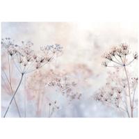 FOTOTAPETE Blumen Pusteblumen Beige 200x140 cm - Multicolor, Papier (200/140cm) - Wallarena