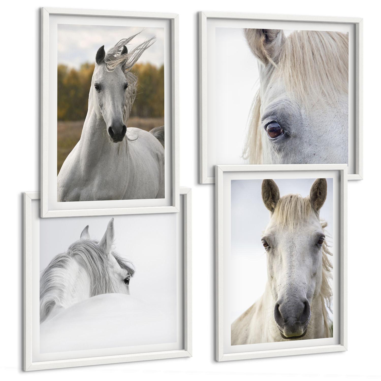 BILDER SET 4er Set - 50x50 cm & 40x60 cm Weißer Rahmen - Weiße Pferde - Weiß, Kunststoff (50/50cm) - TULUP
