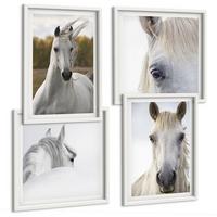 BILDER SET 4er Set - 50x50 cm & 40x60 cm Weißer Rahmen - Weiße Pferde - Weiß, Kunststoff (50/50cm) - TULUP