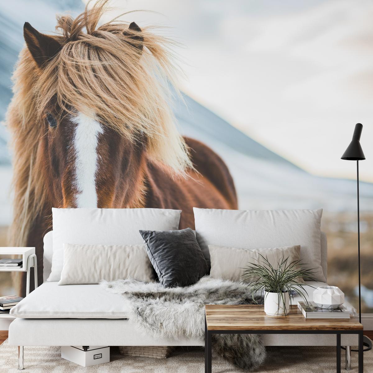 FOTOTAPETE für Schlafzimmer Isländisches Wildpferd Portrait Wiese 100x70 - Beige/Braun, Papier (100/70cm) - Muralo