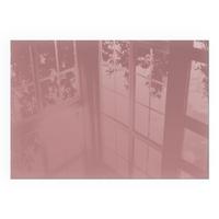 GLASPLATTE für Kamin 100x70 cm - Pink, Glas (100/70/0.4cm) - TULUP