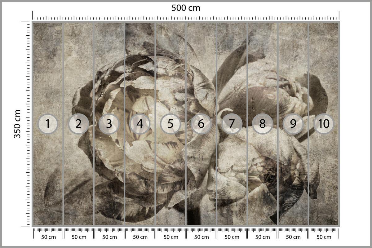 FOTOTAPETE Pfingstrosen Blumen Beton Vintage 500x350 - Beige/Braun, Papier (500/350cm) - Muralo