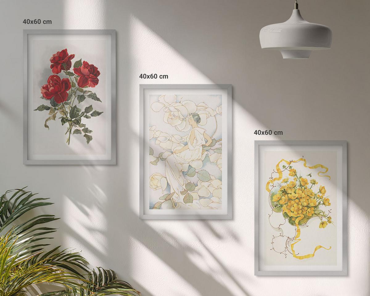 BILDER SET 3er Set - 40x60 cm Silberner Rahmen - Rosen rot-weiße Form - Silberfarben, Kunststoff (40/60cm) - TULUP