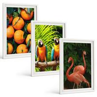 BILDER SET 3er Set - 40x60 cm Weißer Rahmen - Fruchtige Akzente in den Tropen - Weiß, Kunststoff (40/60cm) - TULUP