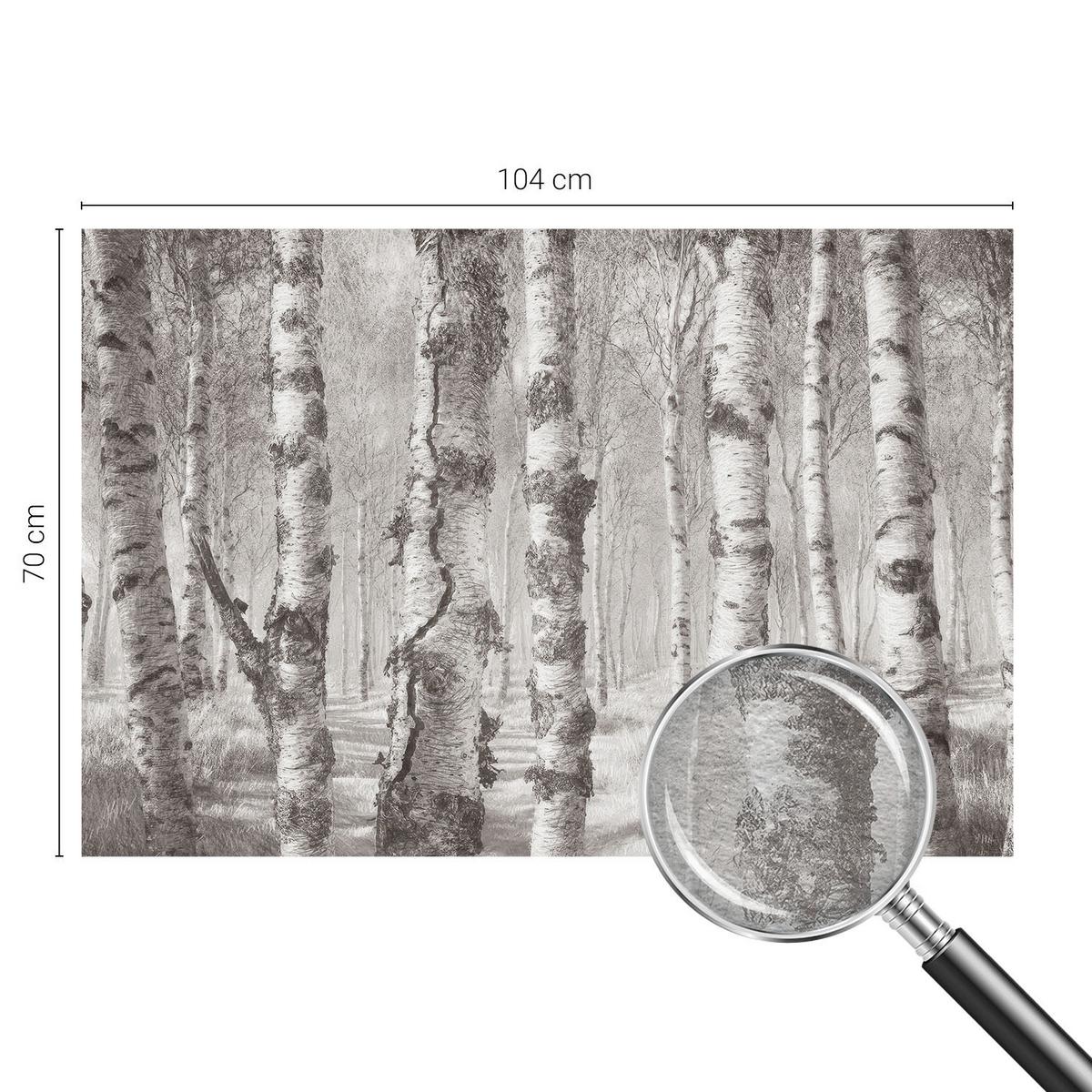 FOTOTAPETE 104x70 cm - Birkenwald - Schwarz, Textil (104/70cm) - Wallfluent