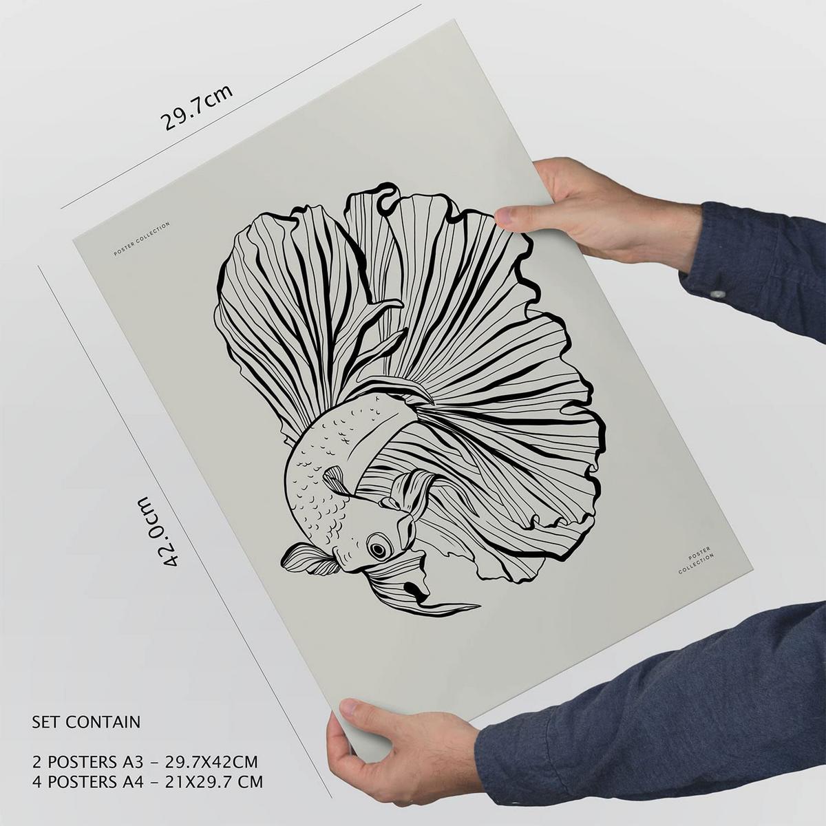 POSTER Set Mit 6 In Schwarzer Tinte Fische Kunstdrucke Von Meer Und Ozean Für Innenarchitektur A3 & A4 Weißer Rahmen - Weiß, Papier (29/3cm) - Nacnic