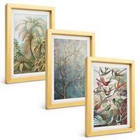 BILDER SET 3er Set - 20x30 cm Goldrahmen - Tropische Pflanzen, Vögel, Natur - Goldfarben, Kunststoff (20/30cm) - TULUP