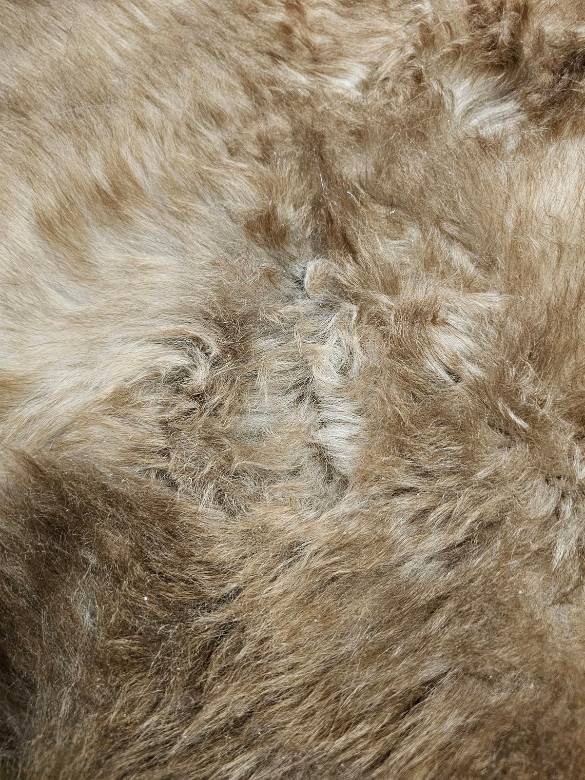 SCHAFFELL Natur Taupe ca. 110 cm - Taupe, Fell (60/110cm) - Provellus