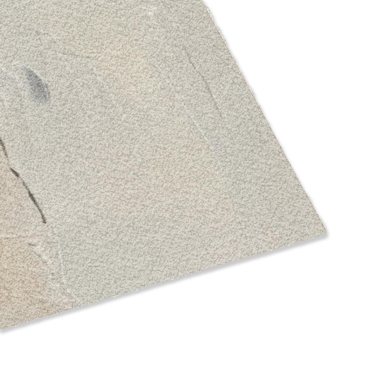 FUSSMATTE Hase - Ohren - Braun Schmutzmatte 90x60 cm - Beige, Kunststoff (60/90cm) - MuchoWow