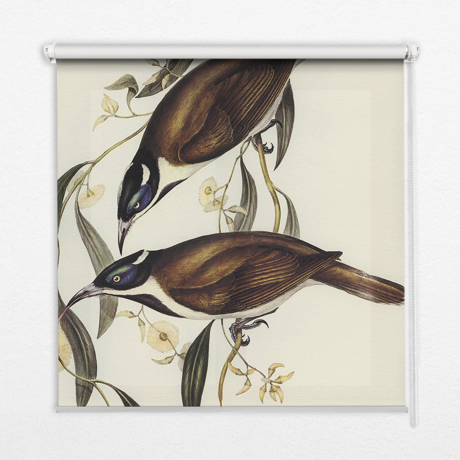 INNENROLLO - Fensterrollo - Rollo - 150x180 cm - Vögel auf einem Baum - Weiß, Kunststoff (150/180/0.5cm) - TULUP