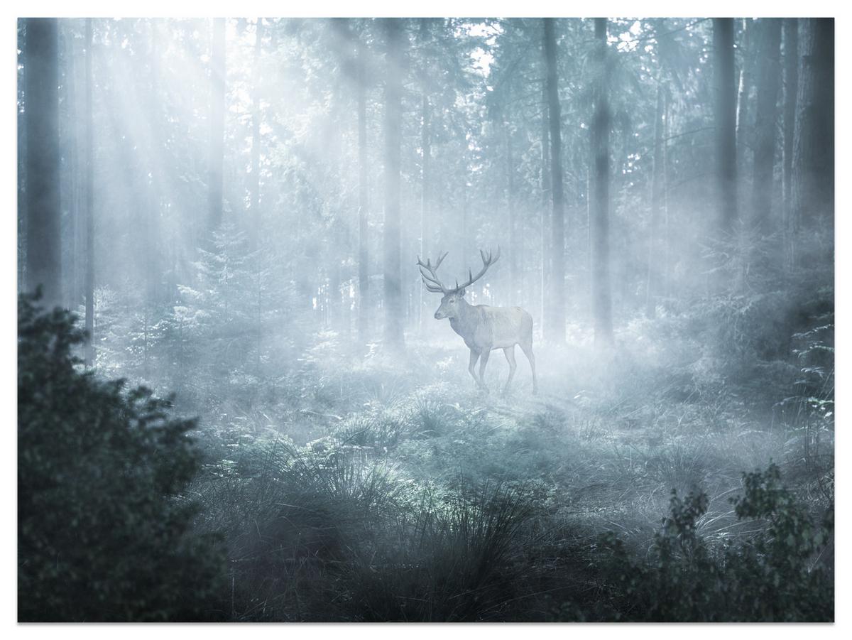 FOTOTAPETE für Wohnzimmer Hirsch Nebelwald Bäume Pflanzen 350x256 - Weiß/Grau, Papier (350/256cm) - Muralo