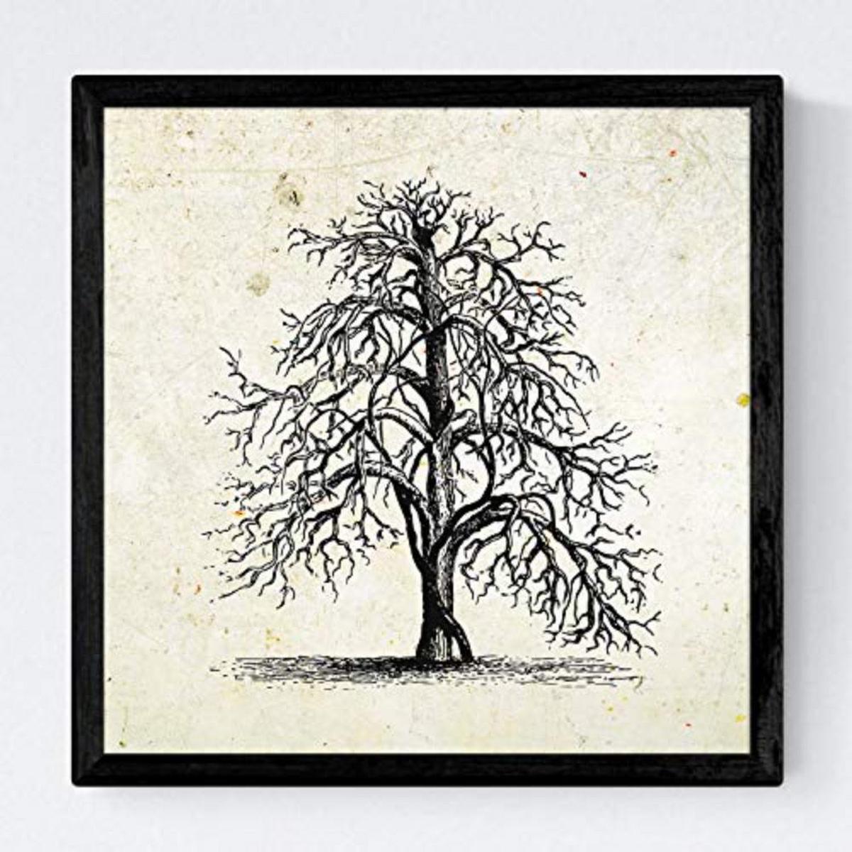 POSTER Set mit 4 Obstbäume ohne, weiß 20x20cm Schwarzer Rahmen - Schwarz, Papier (20/3cm) - Nacnic