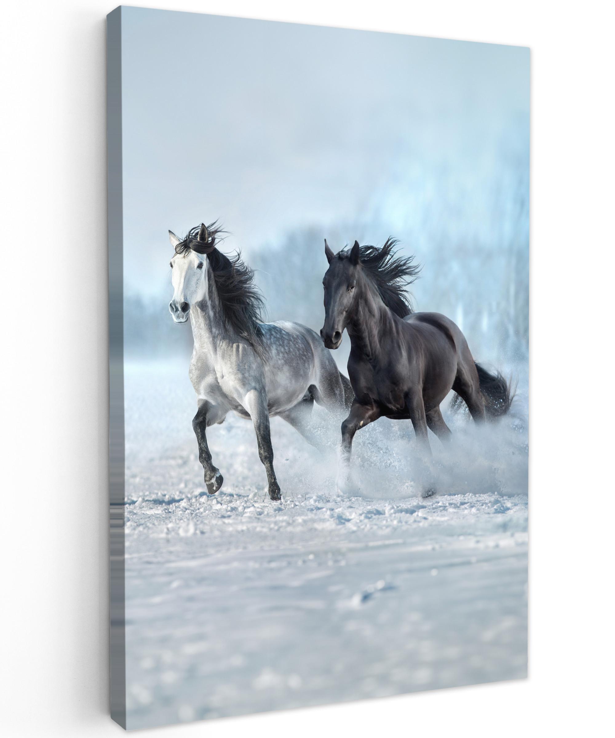 LEINWANDBILD Pferde - Winter - Tiere - Natur - Schnee Deko Groß 90x140 cm - Anthrazit, Textil (90/140cm) - MuchoWow