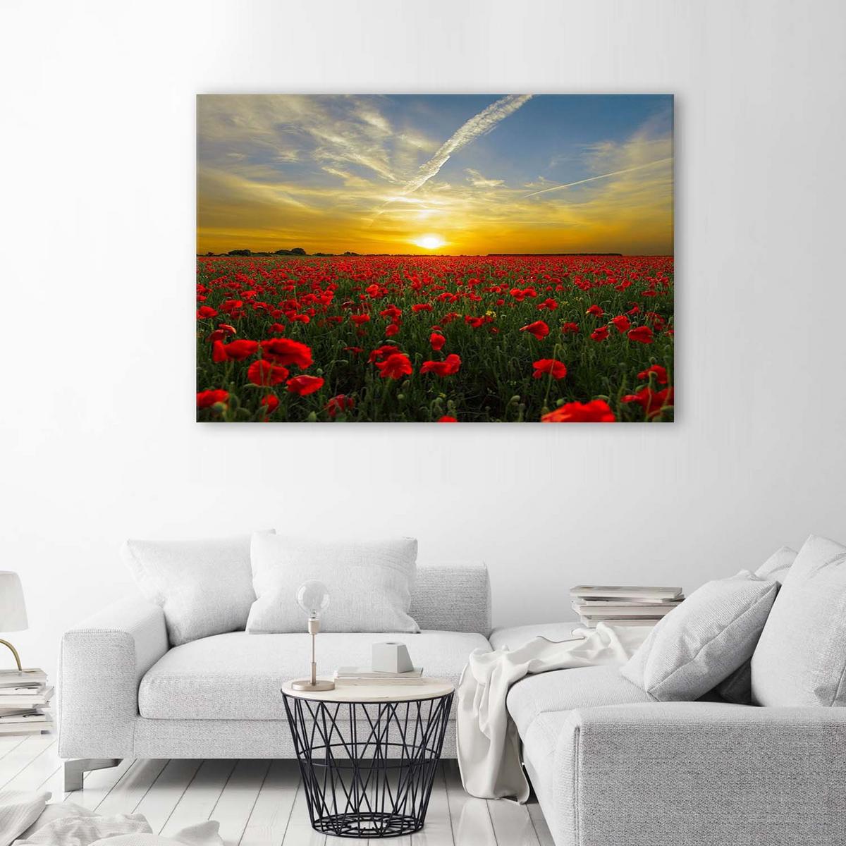LEINWANDBILD Wiese voller roter Mohnblumen in der Sonne 120x80cm - Multicolor, Textil (120/80cm) - Feeby