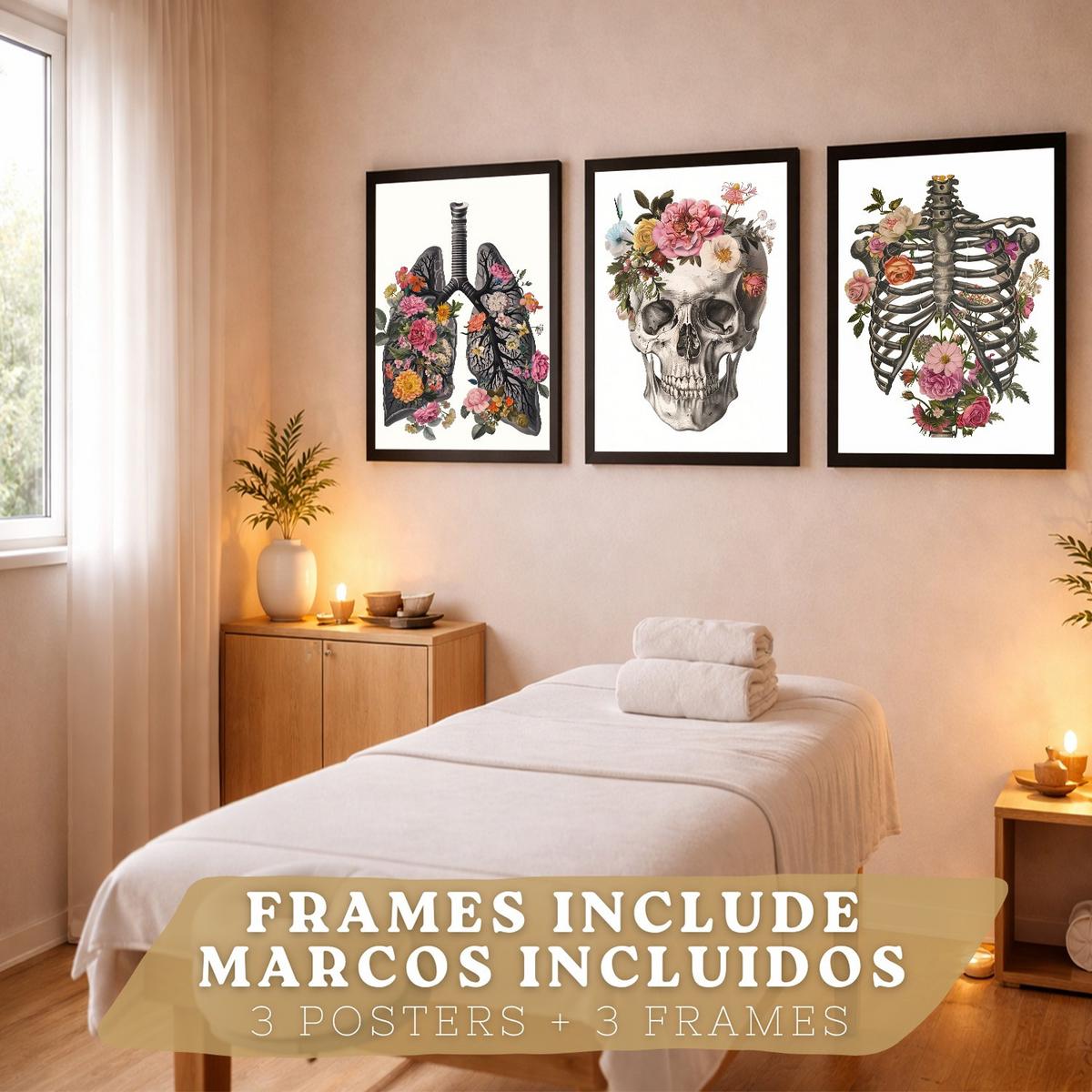 POSTER Set aus 3 Anatomie Mensch Drucke und mit Lungen Luftröhre Bronchien Rippen Wirbelsäule und Schädel Modernes Florales Größe Schwarzer Rahmen A3 - Schwarz, Papier (29.7/42/3cm) - Nacnic