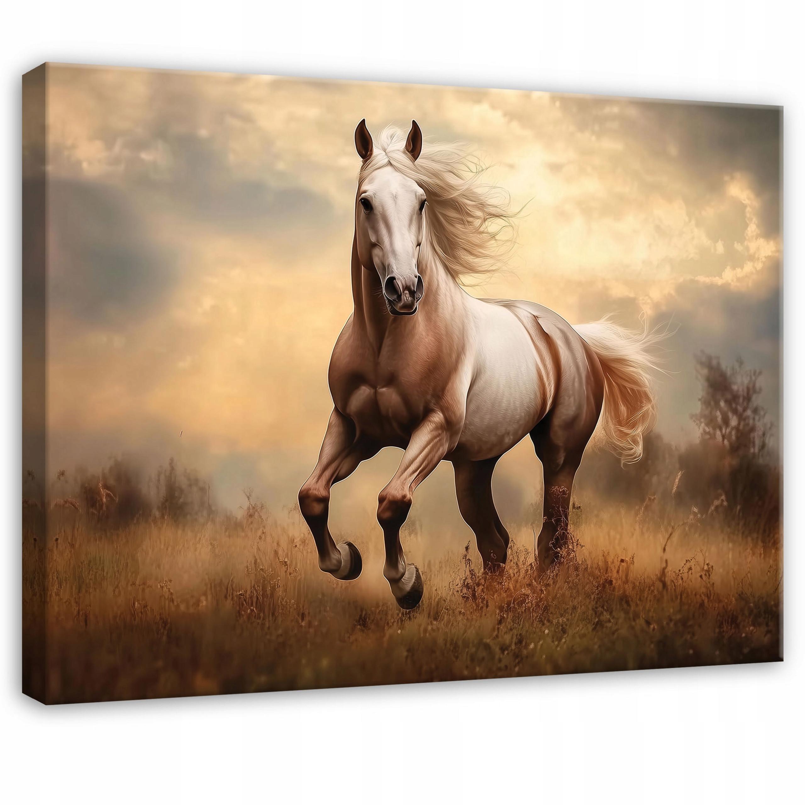WANDBILD Pferde Tiere Schlafzimmer 60x40 - Multicolor, Holzwerkstoff (60/40cm) - Wallarena