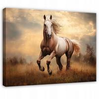 WANDBILD Pferde Tiere Schlafzimmer 60x40 - Multicolor, Holzwerkstoff (60/40cm) - Wallarena