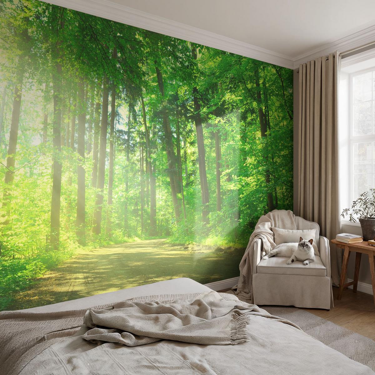 FOTOTAPETE 152x104 cm - Waldweg - Grün, Textil (152/104cm) - Wallfluent