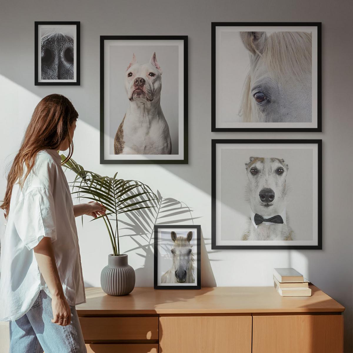BILDER SET 5er Set - 50x50 cm & 20x30 cm & 40x60 cm Schwarzer Rahmen - Elegante Porträts von Hunden und Pferden - Schwarz, Kunststoff (40/60cm) - TULUP