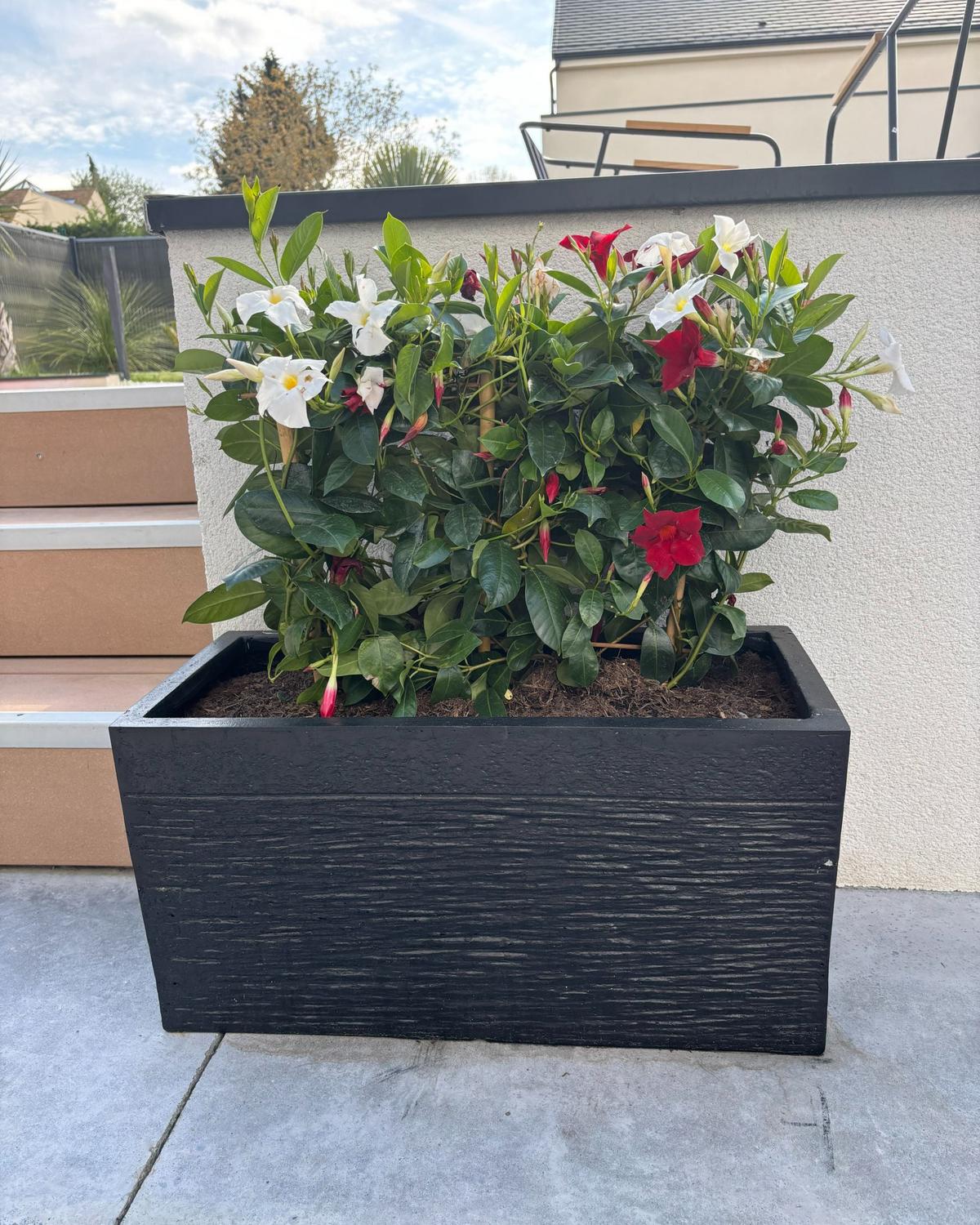 BLUMENTOPF schwarz rechteckig 60/29/30 cm Myra - Schwarz, Naturmaterialen (30cm) - Beliani