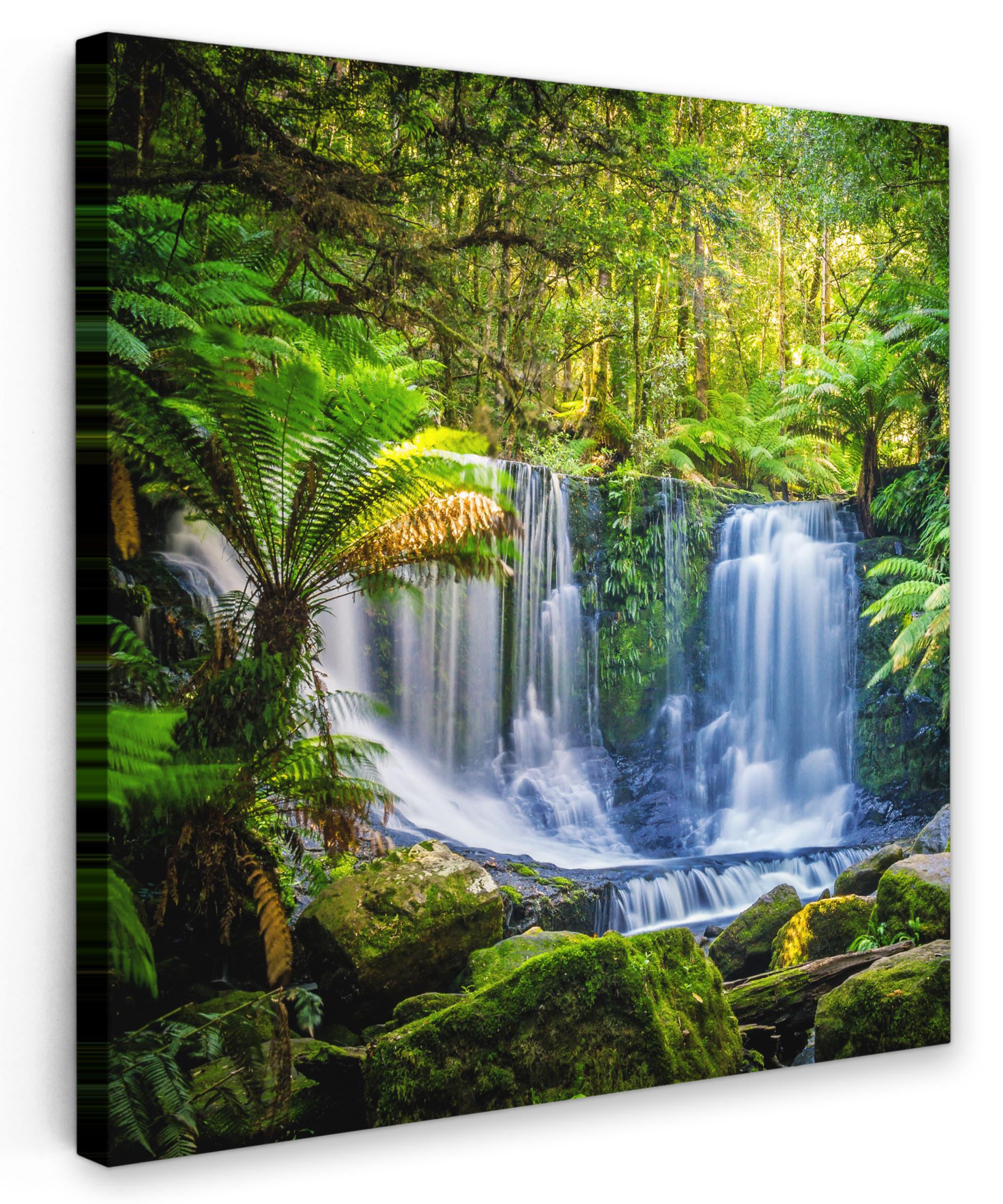 LEINWANDBILD Dschungel - Wasserfall - Australien - Pflanzen - Natur Wandbild Wohnzimmer 50x50 cm - Dunkelgrün, Textil (50/50cm) - MuchoWow