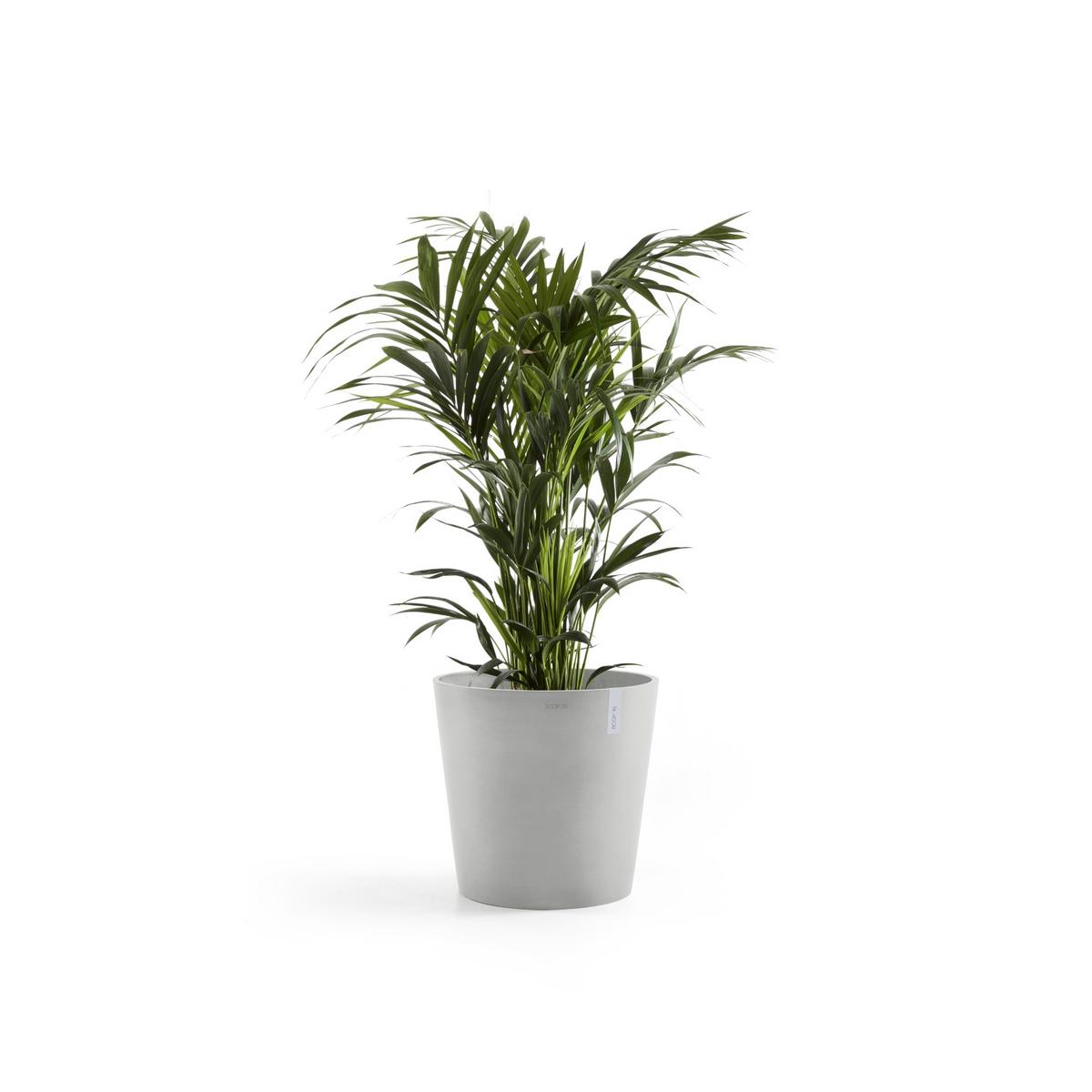 BLUMENTOPF mit Wasserreservoir Amsterdam 50/44,3 cm Hellgrau - Hellgrau, Kunststoff (50/44.3cm) - Ecopots