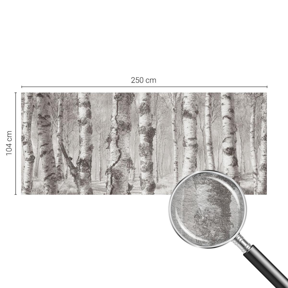 FOTOTAPETE 250x104 cm - Birkenwald - Schwarz, Textil (250/104cm) - Wallfluent