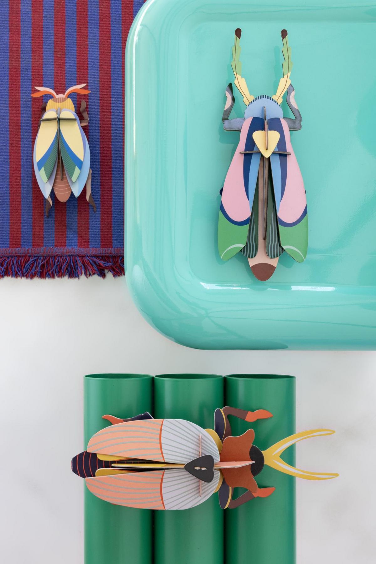 WANDDEKO Bernstein-Schildkäfer 7/27.5 cm - Multicolor, Wellpappe (7/27.5/12cm) - Studio Roof