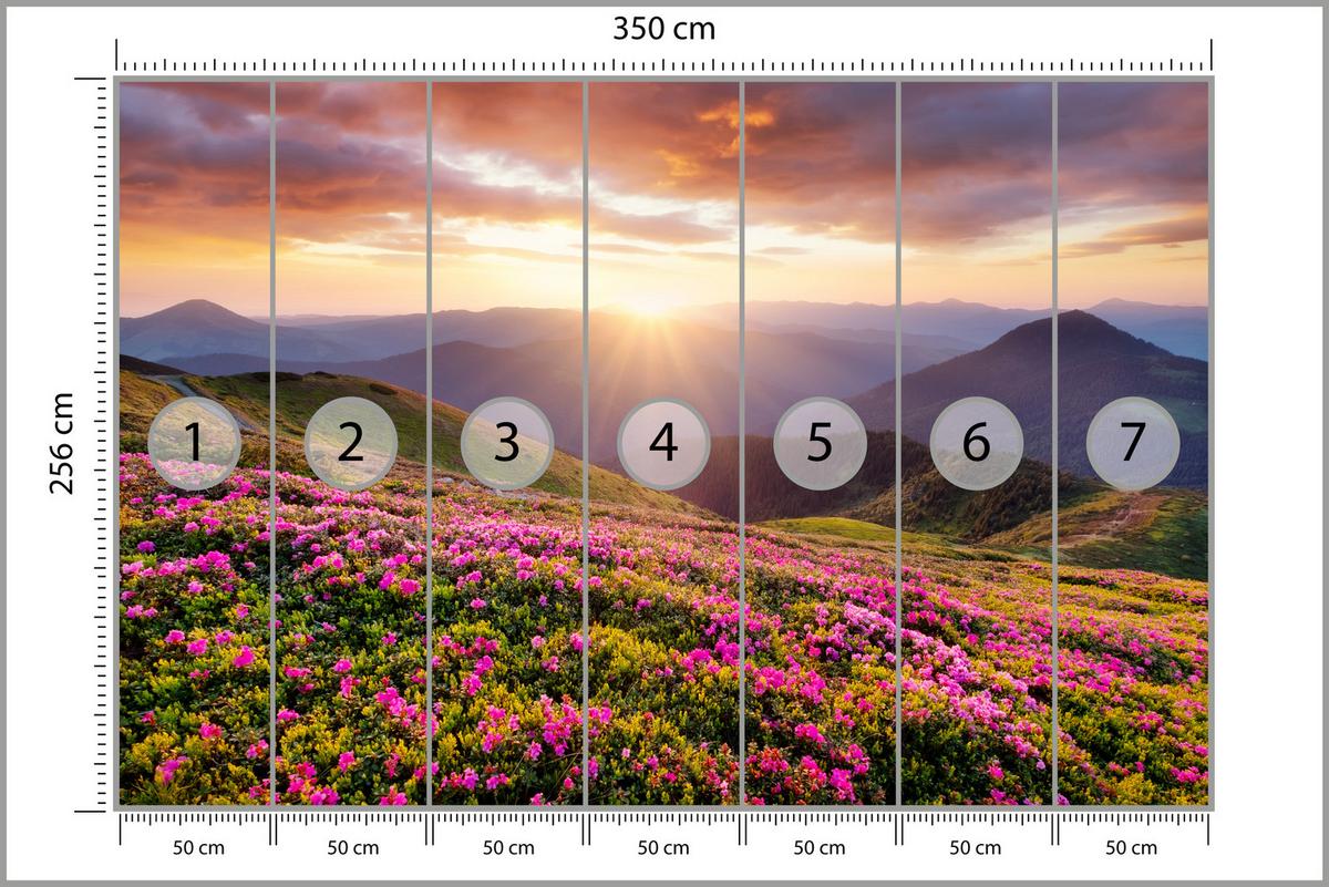 FOTOTAPETE für Wohnzimmer Sonnenuntergang Berge Wiese Blumen 350x256 - Violett/Rosa, Papier (350/256cm) - Muralo